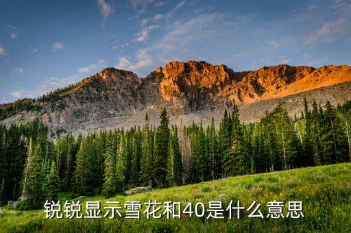 股票波段顯示雪花什么意思，汽車儀表盤(pán)顯示雪花什么意思