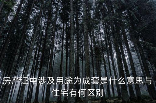 什么是成套項目，什么叫中型成套工程項目