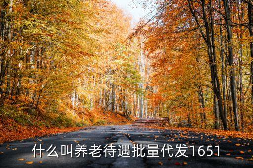 什么叫代發(fā)養(yǎng)老金，養(yǎng)老金代發(fā)機構(gòu)是指什么