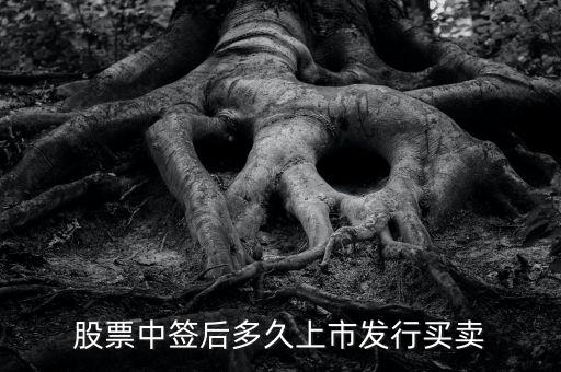 300512什么時候上市交易，股票中簽后多久上市發(fā)行買賣