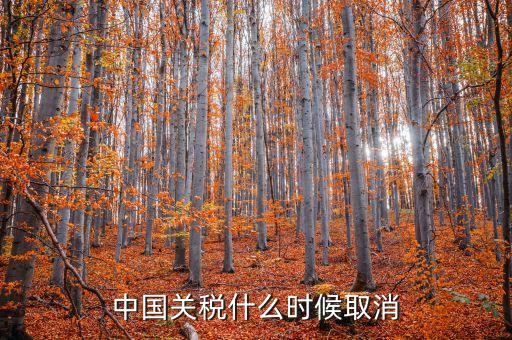 中國什么時(shí)候取消關(guān)稅，中國應(yīng)該在哪年取消關(guān)稅