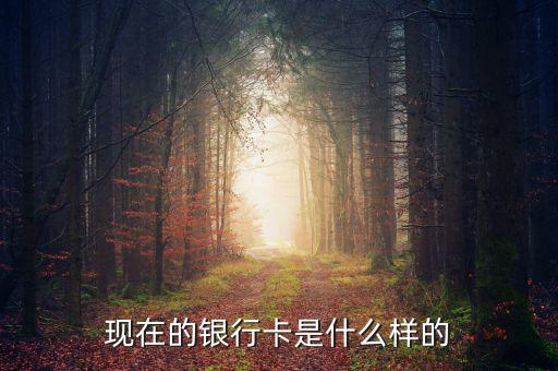 首都銀行卡長(zhǎng)什么樣，銀行卡賬號(hào)長(zhǎng)什么樣