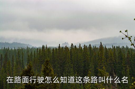 什么叫路條，什么叫做條條道路通羅馬