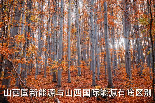 國新能源是什么企業(yè)，浙江國能新能源有限公司怎么樣