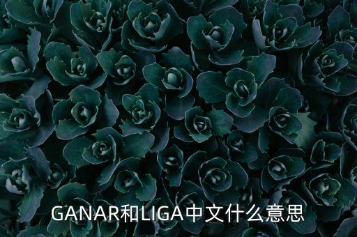 人民幣勝什么意思，韓版惡作劇之吻高中畢業(yè)勝祖跟哈妮照相時(shí)勝祖說的錢是什么意