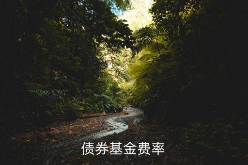 債券基金費(fèi)率什么意思，債券基金費(fèi)率