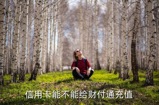 信用卡能給什么充值，可以用信用卡充值的軟件