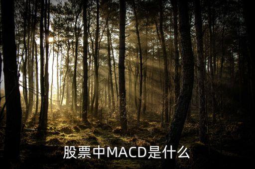 股市MACD線是什么意思，股票中MACD是什么意思