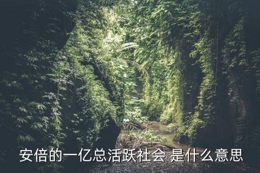 一億總活躍社會(huì)是什么， 安倍的一億總活躍社會(huì) 是什么意思