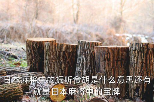 匯盈貸是什么，日本麻將中的振聽(tīng)食胡是什么意思還有就是日本麻將中的寶牌