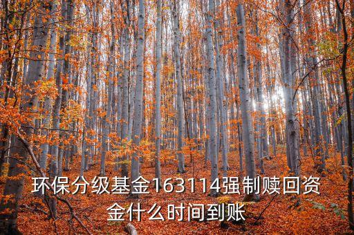 163114什么時候開盤，163114是個什么玩意啊賣也賣不出