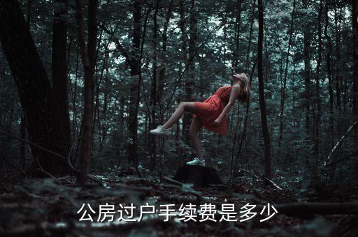 公房使用權(quán)轉(zhuǎn)讓需要交什么錢，公租房使用權(quán)交易如何收費