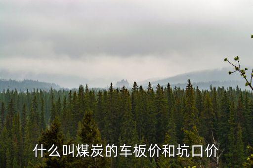 什么叫煤炭坑口價(jià)，煤炭坑口價(jià)格是什么意思呀有知道的好心人請(qǐng)給予答復(fù)