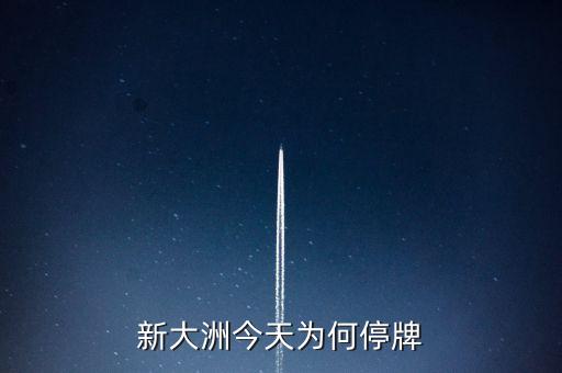 新大州a什么時(shí)候復(fù)牌，公告出來了請(qǐng)懂行的解釋一下什么時(shí)候可以復(fù)牌