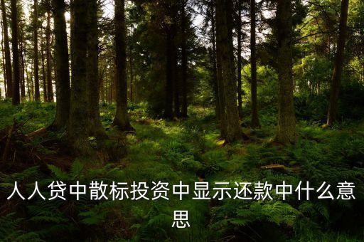 散標是什么意思，散標是什么