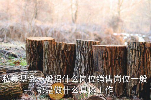 私募公司的市場部做什么，投資公司的市場部職員主要做什么