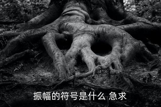什么振幅，振幅的符號(hào)是什么 急求