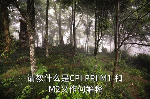 m2指數(shù)是什么，請(qǐng)教什么是CPI PPI M1 和 M2又作何解釋