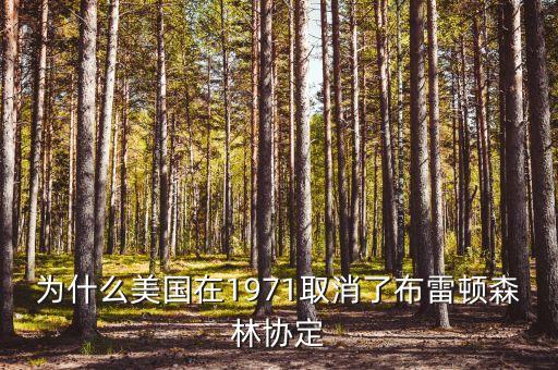 什么取代了布雷頓森林體系，布雷頓森林體系的產(chǎn)生說明了
