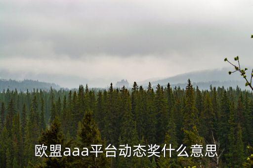 歐盟aaa現(xiàn)在什么情況，歐盟AAA開了多久穩(wěn)定嗎