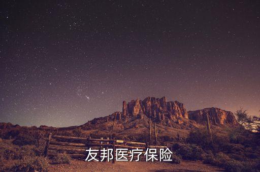 花旗代理友邦什么保險，花旗和友邦合作的意外保險怎么樣