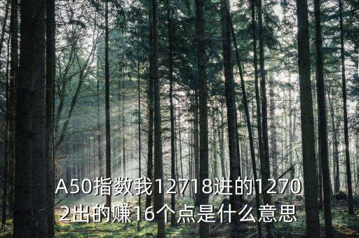 a50指數(shù)1510是什么，A50指數(shù)我12718進的12702出的賺16個點是什么意思