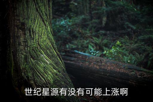 世紀星源股為什么不會漲，世紀星源有沒有可能上漲啊