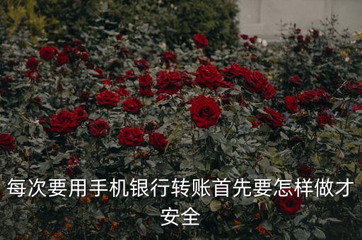 手機(jī)銀行轉(zhuǎn)賬有什么可以保護(hù)安全，手機(jī)開了手機(jī)銀行怎么保護(hù)