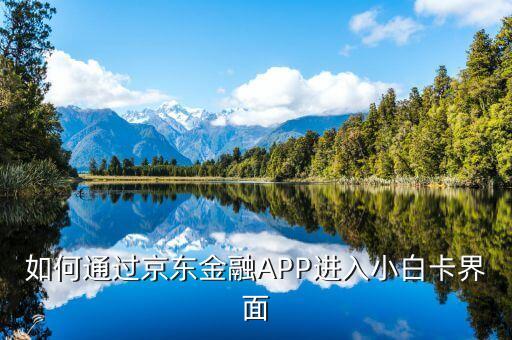 登陸京東金融后進(jìn)入什么頁(yè)面，京東金融app借錢(qián)界面在哪里啊