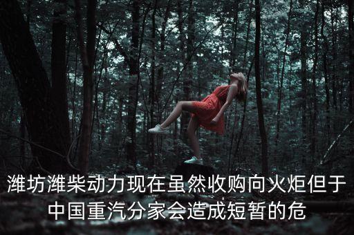 重汽為什么沒有濰柴了，中國重汽還有濰柴發(fā)動機嗎