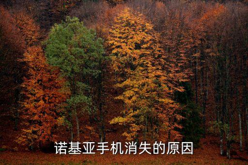 諾基亞公司為什么消失了，以前諾基亞為何消失