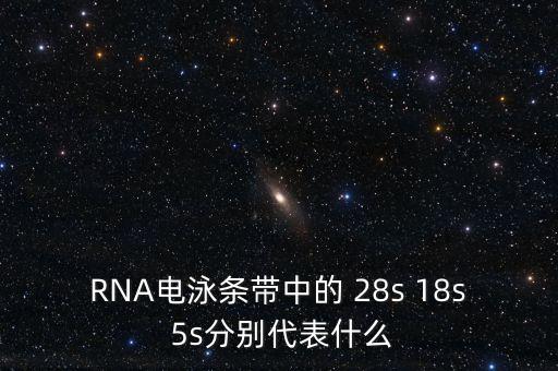 中能國研是什么，在HTML中content是什么意思