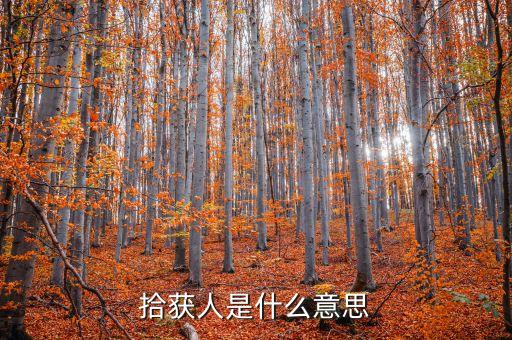 具收人是什么意思，拾獲人是什么意思