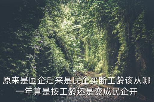 廣西貴糖什么時(shí)候變私企，廣西在什么時(shí)候開始變得落后起來的原因是