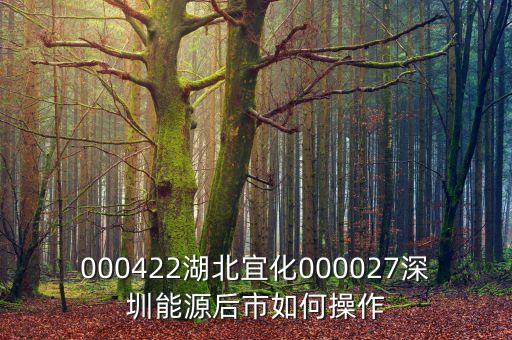 000027之前名什么，000422湖北宜化000027深圳能源后市如何操作