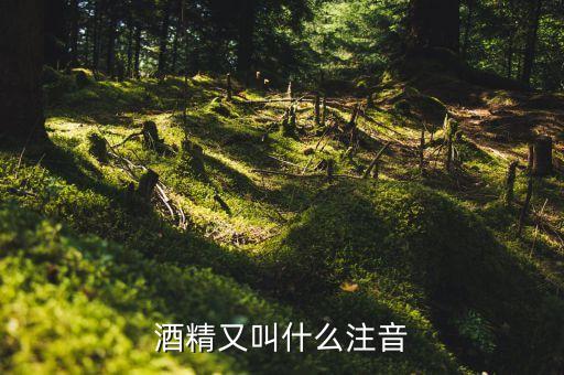 酒經酒驚又名什么，酒精又叫什么注音