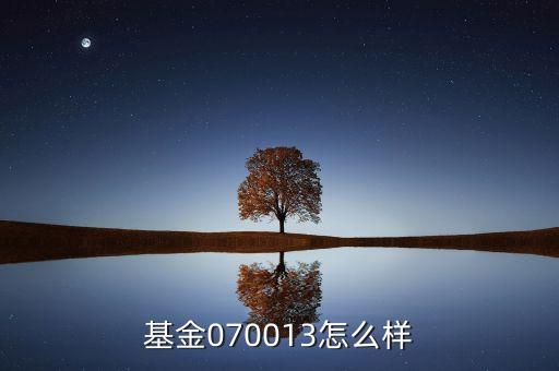 070013基金是什么基金，基金070013前面加of什么意思