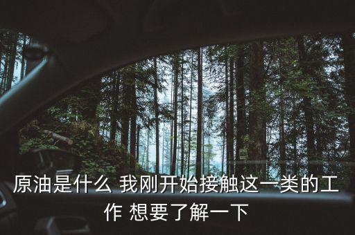 原油是什么工作，原油是什么 我剛開(kāi)始接觸這一類的工作 想要了解一下
