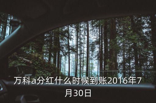 利君2016年的分紅什么時(shí)候到帳，2016年十二月以后垮行轉(zhuǎn)賬最遲多久到帳