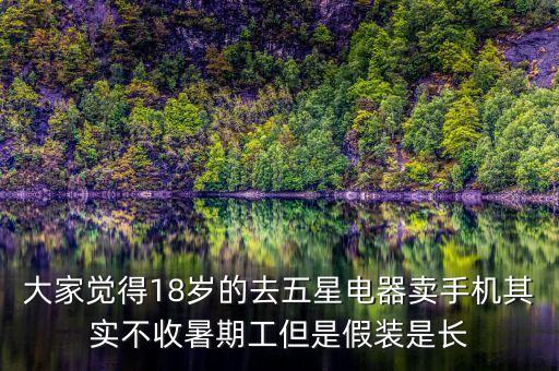 大家覺得18歲的去五星電器賣手機(jī)其實(shí)不收暑期工但是假裝是長