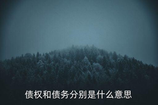 bsp票款債權(quán)是什么，銀行理財(cái)業(yè)務(wù)里面的liborbsp是什么意思