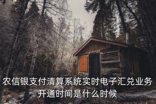 什么是特約電子匯兌，各位大神請問有誰知道建行卡交易明細清單上寫的特約匯融