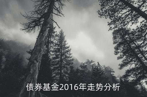 2016年的債券的投資的方向是什么，債券基金2016年走勢分析