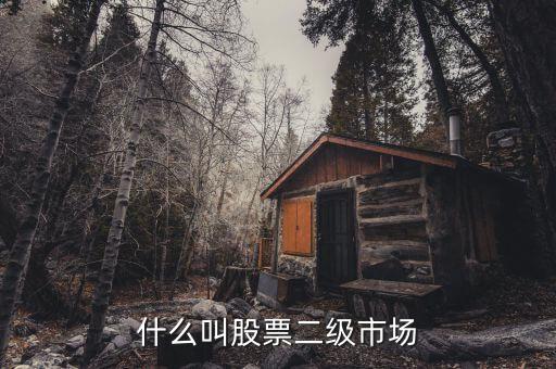在二級(jí)市場(chǎng)買的股票有什么，二級(jí)市場(chǎng)上交易的股票