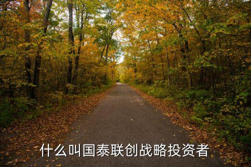 國航為什么選擇國泰作戰(zhàn)略投資者，什么叫國泰聯(lián)創(chuàng)戰(zhàn)略投資者