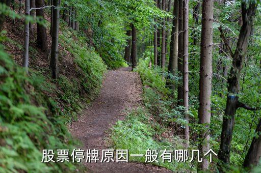 上工申貝為什么停牌，上工申貝出現(xiàn)缺口巨大后市如何