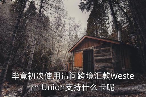 什么是西聯(lián)，畢竟初次使用請(qǐng)問跨境匯款Western Union支持什么卡呢
