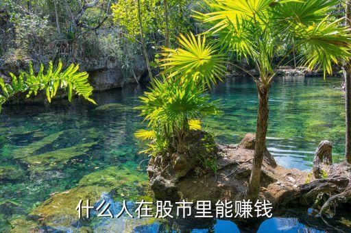 股市中什么人能賺到錢，目前在股市上賺錢的是些什么人