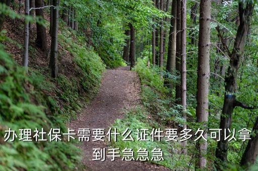 辦理社?？ㄐ枰裁醋C件要多久可以拿到手急急急