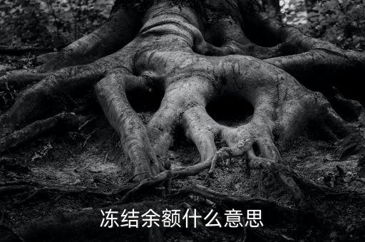 建設(shè)銀行凍結(jié)余額是什么意思，凍結(jié)余額什么意思